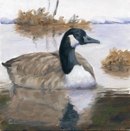 Algonquin Canada Goose 6x6 Oil on Board