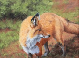 Bartlett Fox 18x24 Oil on Linen