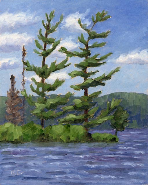 Island Pine, Windy Day Oil on Board