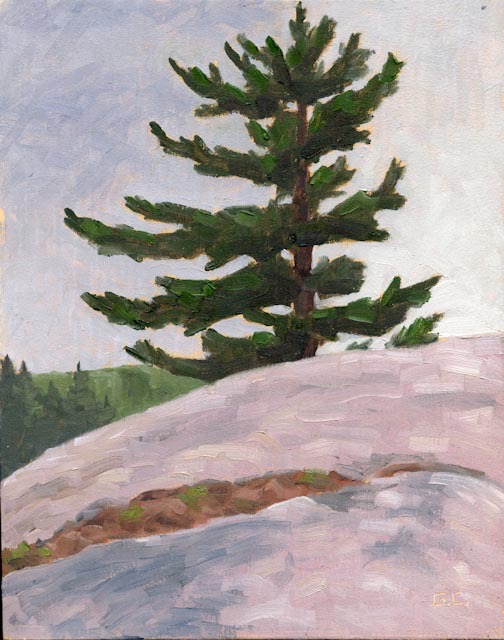 TT Pine and Rock Oil on Wood Panel